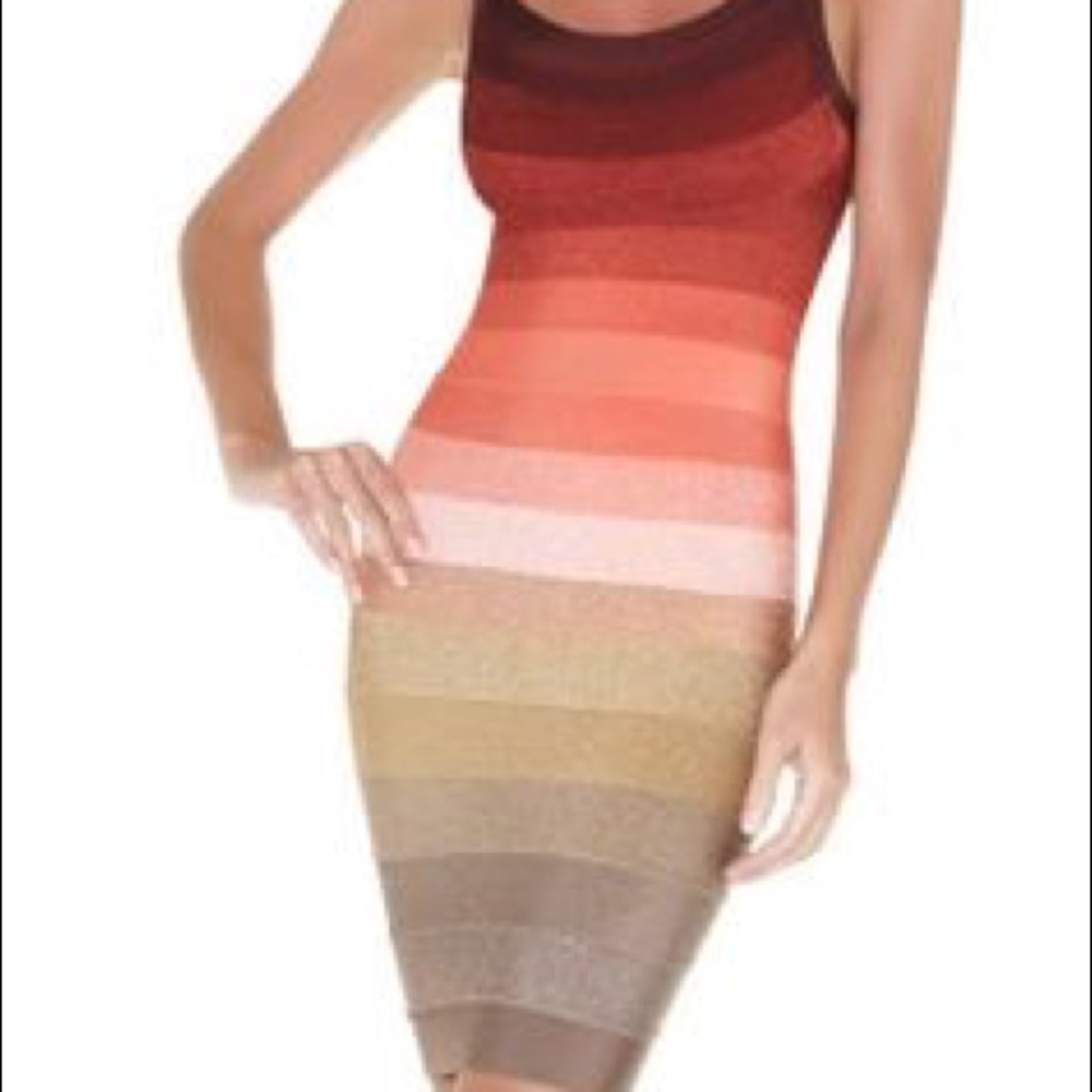 Herve Ledger Dress